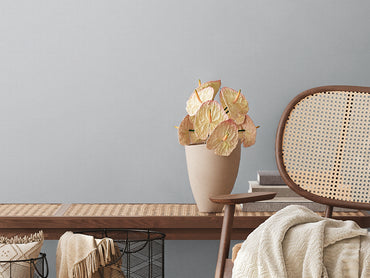 Anna D Andrea - 389032