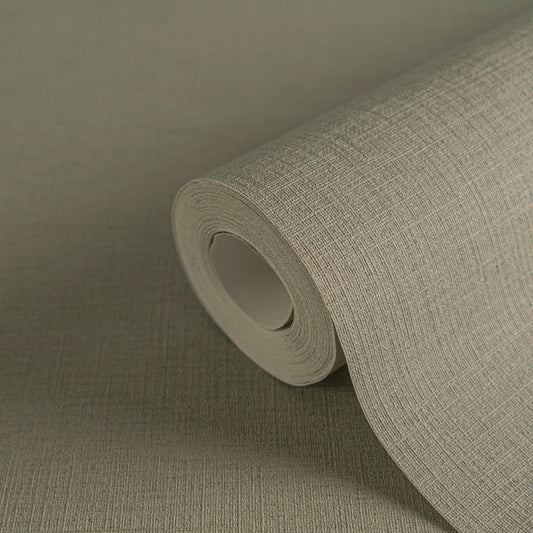 Anna D Andrea - 390975