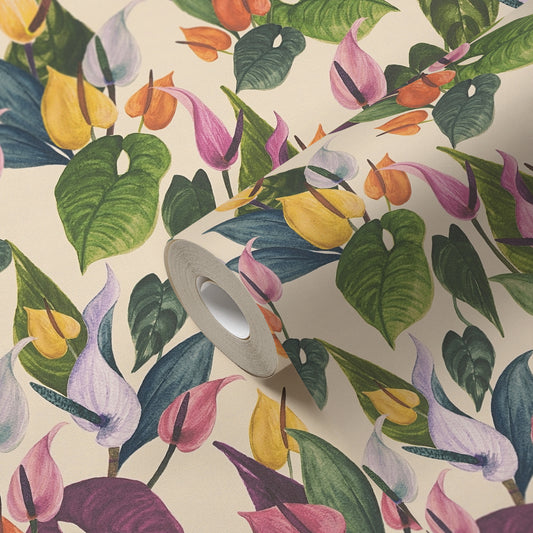 Anna D Andrea - 782101