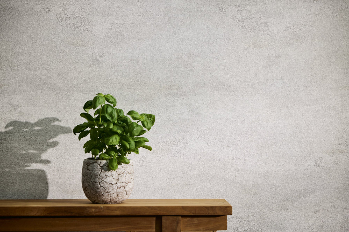 Modern Concrete Faux Plaster Plain Textured Wallpaper