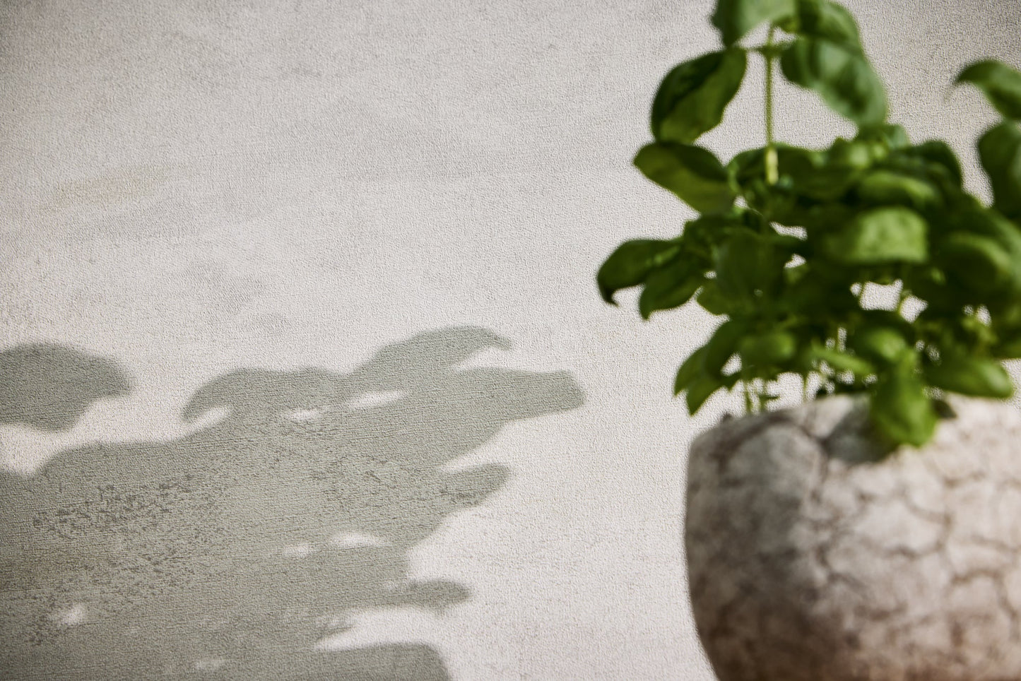 Modern Concrete Faux Plaster Plain Textured Wallpaper