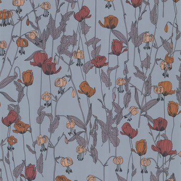 Lutece , Soline , 51250101