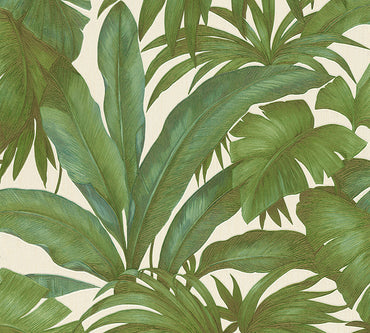 Giungle - Green